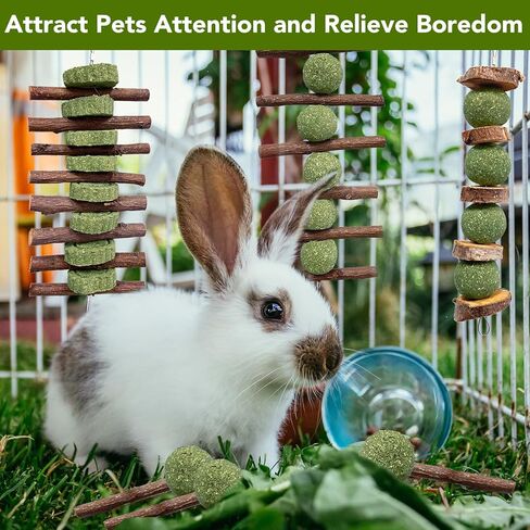 12pcs rabbit phem sticks ، معلق العصي المضغ والكعك تيموثي القش روز معالجة الكريسانثيموم لأرنب شينشيلا غينيا خنزير الهامستر والحيوانات الأليفة الصغيرة الأخرى وجبة خفيفة in Kuwait