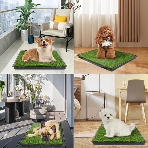 Dog Grass Pad with Tray: Reusable Training Pad with 2-Pack Replaceable Artificial Grass - Quick Absorbent Indoor Portable Dog Patio Potty, Washable Pee Pad For Small Medium To Large Dog, 22"x18" Green in Saudi Arabia