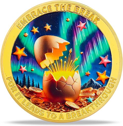 Dumpster Fire Challenge Coin 1 Pcs, Colorful Dumpster Fire Coin, Funny Inspirational Commemorable Coins for Workers, Coworkers, Friends, Family in Kuwait