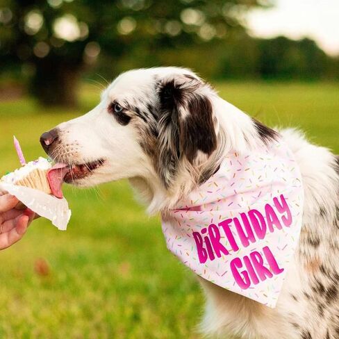 Birthday Girl Dog Bandanas 1 Pack, Pink Dog Scarfs for Boy and Girl, Pet Scarves for Birthday Boy and Girl Bandanas for Small Medium Large Dogs (Pink, Large) in Saudi Arabia