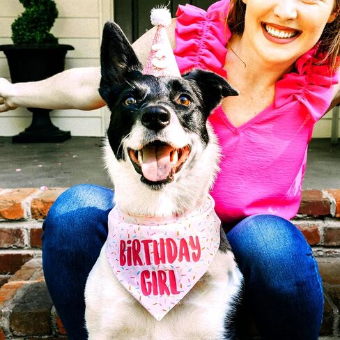 Birthday Girl Dog Bandanas 1 Pack, Pink Dog Scarfs for Boy and Girl, Pet Scarves for Birthday Boy and Girl Bandanas for Small Medium Large Dogs (Pink, Large) in Saudi Arabia