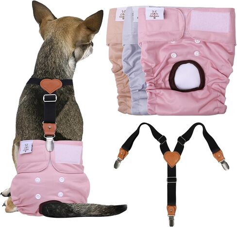 Cutebone Dog Diapers Female 3 Pack Pack Diggy Diggy Diapers with One Semarender for Small Medium Edge Barge DAGE BDD02S in Kuwait