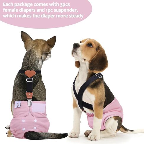 Cutebone Dog Diapers Female 3 Pack Pack Diggy Diggy Diapers with One Semarender for Small Medium Edge Barge DAGE BDD02S in Kuwait