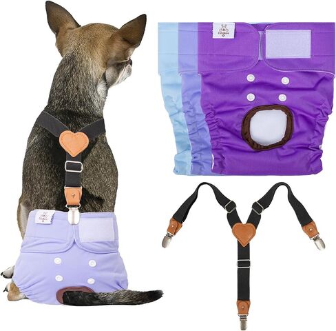 Cutebone Dog Diapers Female 3 Pack Pack Diggy Diggy Diapers with One Semarender for Small Medium Edge Barge DAGE BDD02S in Kuwait