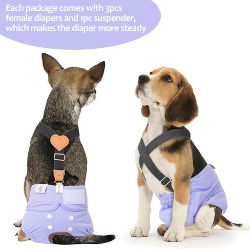 Cutebone Dog Diapers Female 3 Pack Pack Diggy Diggy Diapers with One Semarender for Small Medium Edge Barge DAGE BDD02S in Kuwait