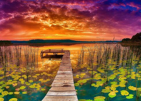 Jigsaw Puzzles 1000 Pieces - WISHDIAM Puzzles for Adults - Lake Louise Banff National Park Nature Impossible Hard Difficult Challenging Puzzles for Home Decor Birthday Party Gifts Toy for Men Women in Saudi Arabia