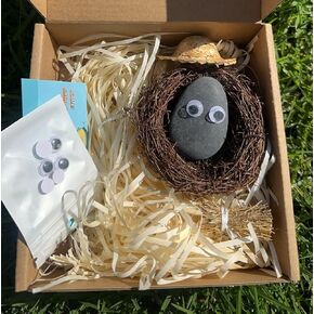 Fustone Pebble Pet Rock Nest مع العشب الزخرفي ، هدية جديدة لنفسك ، الأطفال والأصدقاء والعائلة