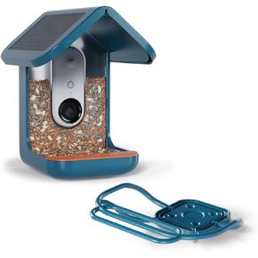 Bird Buddy Pro Solar Feeder + Berch Extender Bundle - Smart Bird Feeder مع AI Camera و Solar Power + Perch Extended Berch للطيور الأكبر - 2K HD Video