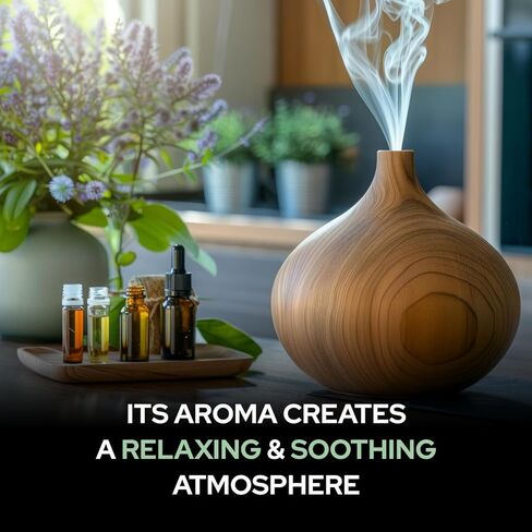 زيت النعناع (النعناع × البيريتا) | زيت عطري نقي وطبيعي غير مخفف عضوي قياسي| للعناية بالشعر والبشرة والوجه | زيت عطري-15مل_بالقطارة in Kuwait