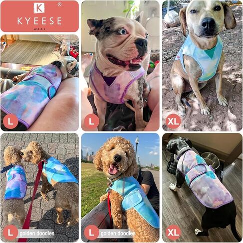KYEESE Dog Cooling Vest Lightweight Dog Cooler Jacket 3D Breathable Mesh Pet Cooling Shirts with Reflective Stripe UV Protection Pet T Shirt for Beach, Hiking, Walking (Pink, L) in Saudi Arabia