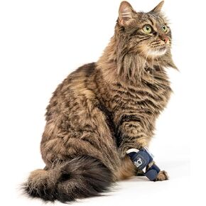 Balto Feline Splint Carpal/Tarsal Brace- hyperextension Cat Brace- Brace with Aluminium Splint- يدعم الكسور والالتواء- دعم الساق (X-Small)