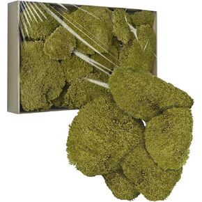 Turelinng المحفوظ ديكور الطحلب - Moss Real Forest Moss ، Moss for Praitts ، مرن للحرف DIY ، المنزل ، الجدار ، المشاريع الفنية (Dark Green 2 قدم مربع - 02)