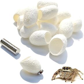 20 Pack Silk Cocoons with Magnets for Jumping Spiders Spoods Hides Silk Cocoon Spider Hide Jumping Spider Enclosure Habitat Accessories for Small Insects Critters
