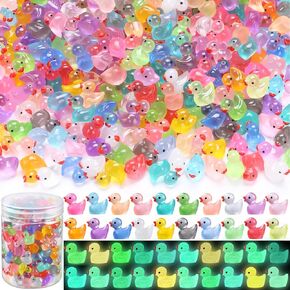 200pcs Luminous Mini Resin Ducks 20 Colors Small Tiny Little Duck Figurines to Hide Glow in The Dark Miniature Figures for Dollhouse Micro Garden Landscape Decoration Craft Party Favors Toys