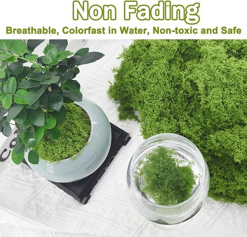 Potanro Faux Green Moss 5.3oz Artificial Fake Plant Moss for Potted Plants Indoor, Crafts, Planters, Bonsai Artifcial, DlY Floral Decorative Moss, Fairy Garden Wedding Table Centerpieces Decor in Saudi Arabia