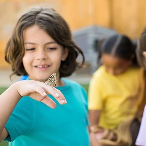 Insect Lore Cup of Caterpillars™ Basic | 5 Live Baby Painted Lady Caterpillars | Refill for Habitat Kit | Caterpillars and Food Included in Saudi Arabia