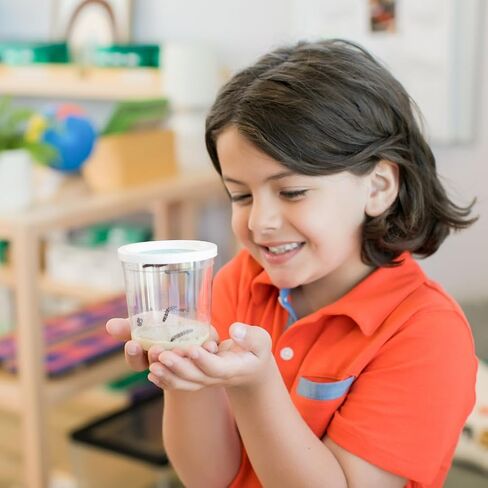 Insect Lore Cup of Caterpillars™ Basic | 5 Live Baby Painted Lady Caterpillars | Refill for Habitat Kit | Caterpillars and Food Included in Saudi Arabia