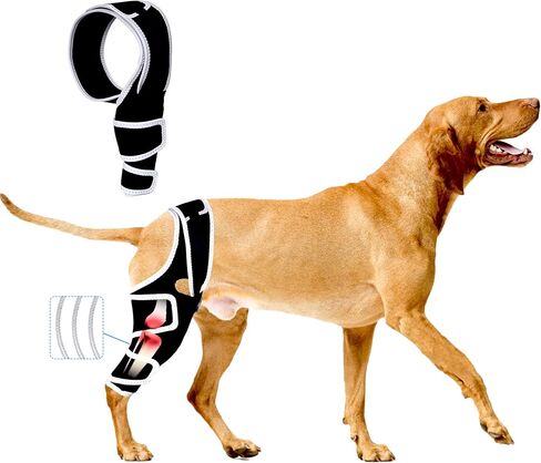 Dog Knee Braces for Back Leg, Knee Brace for Dogs with Torn ACL Hind Leg or Front Leg, Help Pain Relief, Osteoarthritis, Ligament Injuries Adjustable Leg Support Brace for Rear Legs, L in Saudi Arabia