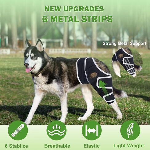 Dog Knee Braces for Back Leg, Knee Brace for Dogs with Torn ACL Hind Leg or Front Leg, Help Pain Relief, Osteoarthritis, Ligament Injuries Adjustable Leg Support Brace for Rear Legs, L in Saudi Arabia
