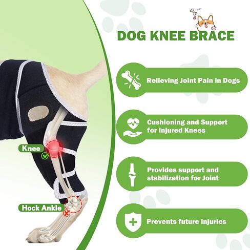 Dog Knee Braces for Back Leg, Knee Brace for Dogs with Torn ACL Hind Leg or Front Leg, Help Pain Relief, Osteoarthritis, Ligament Injuries Adjustable Leg Support Brace for Rear Legs, L in Saudi Arabia