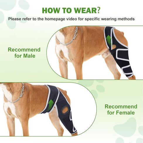 Dog Knee Braces for Back Leg, Knee Brace for Dogs with Torn ACL Hind Leg or Front Leg, Help Pain Relief, Osteoarthritis, Ligament Injuries Adjustable Leg Support Brace for Rear Legs, L in Saudi Arabia