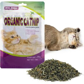 العضوية 100 ٪ طبيعية Catnip Cattle Grass Mint Taste Funny Cat Toy New Cat Toy Interactive Cat Toys Supplies Pet Supplies