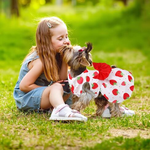 5 Pack Girl Dog Clothes Floral Summer Puppy Princess Bowknot Dog Dresses for Small Dogs Girl Clothes Cute Outfits for Boys Girls Pets Cats Dogs (X-Small, Floral Summer) in Saudi Arabia