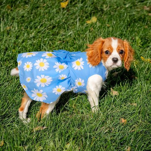 5 Pack Girl Dog Clothes Floral Summer Puppy Princess Bowknot Dog Dresses for Small Dogs Girl Clothes Cute Outfits for Boys Girls Pets Cats Dogs (X-Small, Floral Summer) in Saudi Arabia