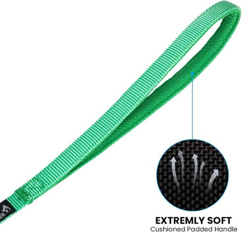 EXCELLENT ELITE SPANKER Nylon Dog Leash Basic Style 5 Feet Long 1/2" Wide Rope for Small Pets Dogs and Cats Walking(Red) in Saudi Arabia