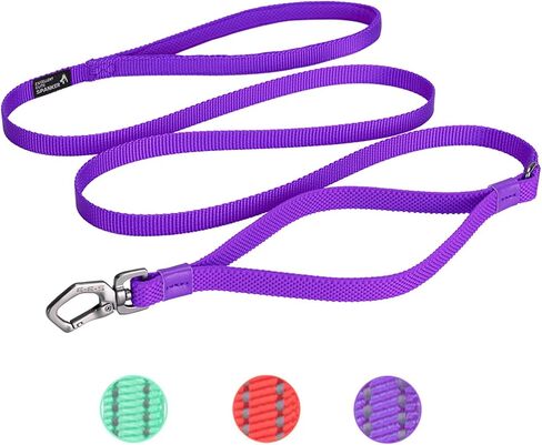 EXCELLENT ELITE SPANKER Nylon Dog Leash Basic Style 5 Feet Long 1/2" Wide Rope for Small Pets Dogs and Cats Walking(Red) in Saudi Arabia