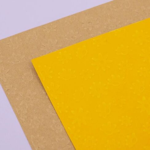 Craftelier - Set of 2 Mini Embossing Folders Summer | Texture for Scrapbooking and Crafting | Compatible with Sizzix Big Shot, Minty Cut, Mini Evolution, Revolution | 7,64 x 12,62 cm (2.5 x 4.5 in.) in Kuwait