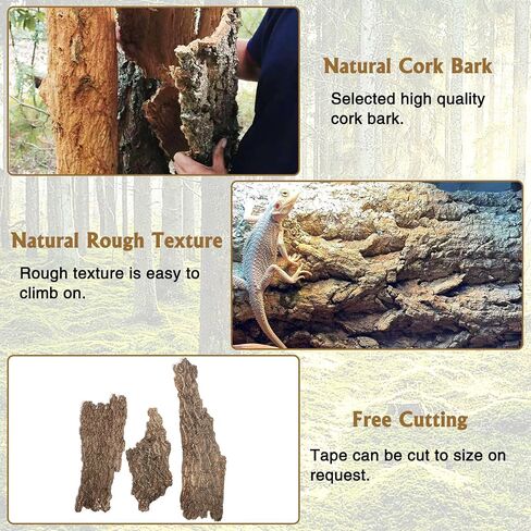 Fhiny 2 PCS Cork Bark Background, 11.6" x 7.7" Natural Cork Bark for Reptiles Tank Backdrop Reptile Climbing Wall Terrarium Decor Accessories for Turtle Beared Dragon Chameleon Snake in Kuwait