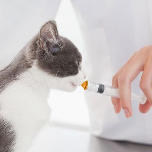 Pet Feeding Syringe with Nipple, Silicone Feeding Tools for Kitten Puppy Feeding Syringe for Newborn Cat Dog Small Animals Rabbits (10ml+30ml) in Saudi Arabia