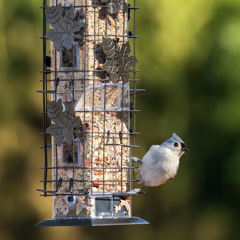 Perky-Pet Smart Bird Feeder with Camera - Squirrel-Resistant, 3.5 lb Feed Capacity, Motion Activated 1080p HD, Camera Bird Feeders for Outside, Wi-Fi in Kuwait