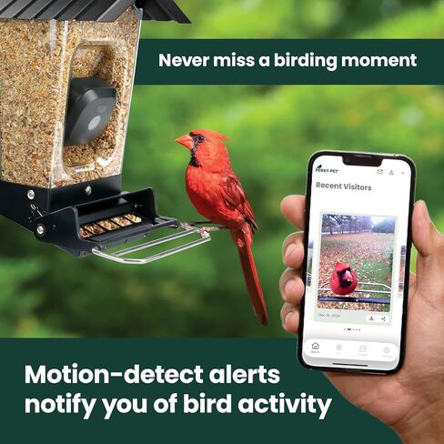 Perky-Pet Smart Bird Feeder with Camera - Squirrel-Resistant, 3.5 lb Feed Capacity, Motion Activated 1080p HD, Camera Bird Feeders for Outside, Wi-Fi in Kuwait