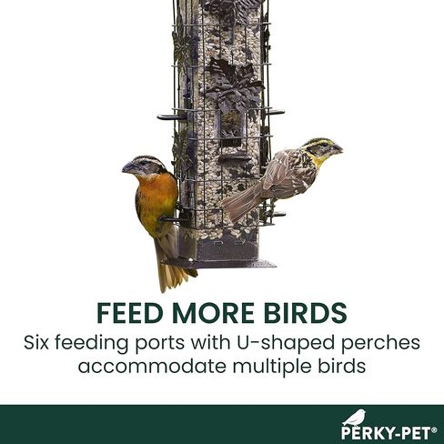 Perky-Pet Smart Bird Feeder with Camera - Squirrel-Resistant, 3.5 lb Feed Capacity, Motion Activated 1080p HD, Camera Bird Feeders for Outside, Wi-Fi in Kuwait