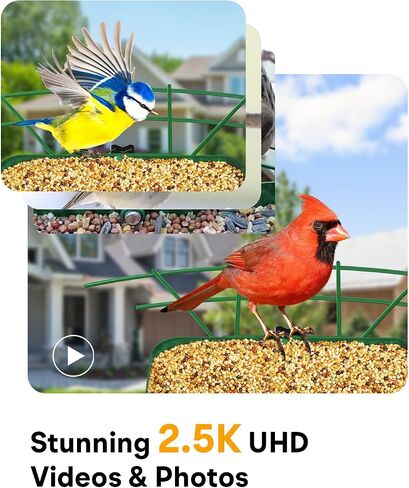 Metal Smart Bird Feeder with Camera – Solar Powered, AI Bird Identification & 2.5K HD Auto Capture Videos, Arrival Notifications, 2.1L Capacity & 100% Durable Design in Saudi Arabia