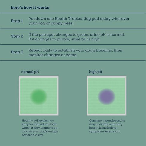 Pet Life Unlimited Health Tracker Large Puppy Pads, Pee Pads for Dogs, Dog Training Pads - pH Responsive Color-Track Technology Detects Common Health Issues - 22" x 22" - 20 Count (L) in Saudi Arabia