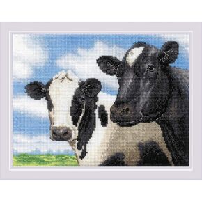 Riolis - Acows 2237 ، Cross Cross Stitch Kits 9½ "X7 ، Cross Stitch Kits للمبتدئين ومجموعات المتقدمة والبالغين ، مجموعات غرز محسوبة ، مجموعة التطريز