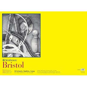 Strathmore 300 Series Bristol Vellum Pad للفنانين والطلاب ، 22 × 30 بوصة ، 10 أوراق للرسم والرسم والطباعة
