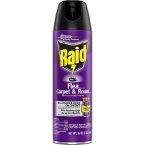 Raid Flea Killer ، يقتل البراغيث ، الصراصير ، الصراصير ، السمك الفضي والقراد ، استخدم في منزلك أو على كلبك ، 16 أوقية