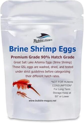 Bubble Magus Brine Shrimp Eggs for Aquatic Foods Artemia Cysts of 90% Hatch Rate Fish Food (0.5 OZ, Brine Shrimp Eggs) in Kuwait