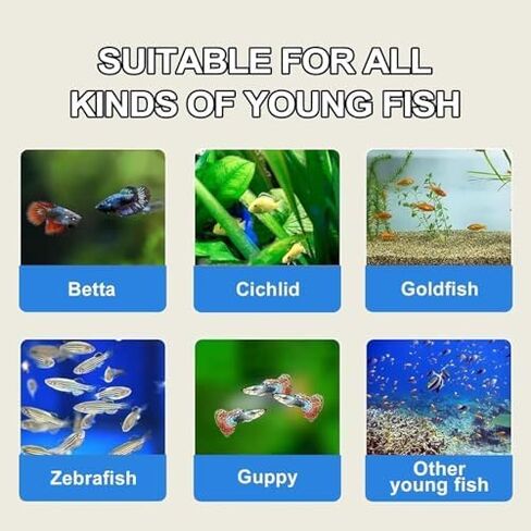 Bubble Magus Brine Shrimp Eggs for Aquatic Foods Artemia Cysts of 90% Hatch Rate Fish Food (0.5 OZ, Brine Shrimp Eggs) in Kuwait
