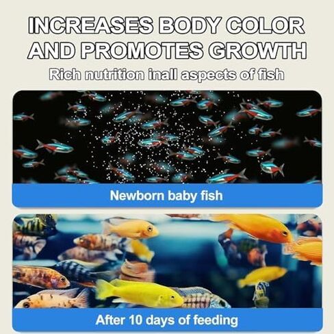 Bubble Magus Brine Shrimp Eggs for Aquatic Foods Artemia Cysts of 90% Hatch Rate Fish Food (0.5 OZ, Brine Shrimp Eggs) in Kuwait