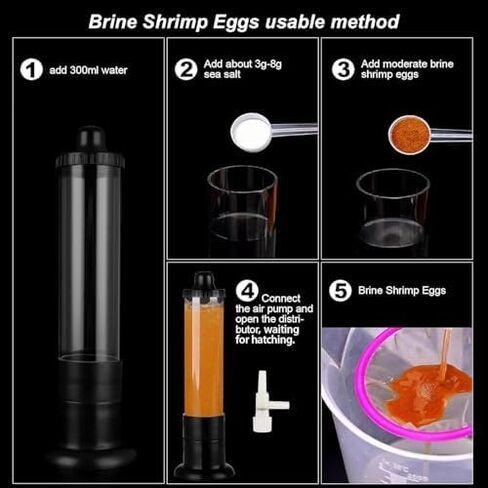 Bubble Magus Brine Shrimp Eggs for Aquatic Foods Artemia Cysts of 90% Hatch Rate Fish Food (0.5 OZ, Brine Shrimp Eggs) in Kuwait