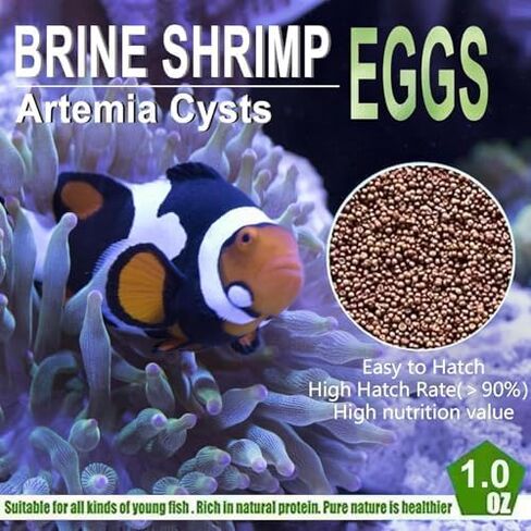 Bubble Magus Brine Shrimp Eggs for Aquatic Foods Artemia Cysts of 90% Hatch Rate Fish Food (0.5 OZ, Brine Shrimp Eggs) in Kuwait