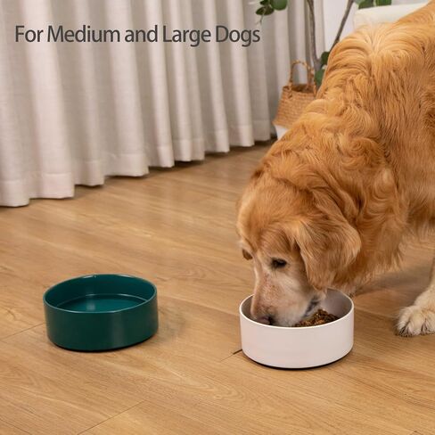 Non Slip Dog Bowls, Heavy Ceramic Dog Food Bowl with Silicone Base, Weighted Puppy Water Bowl No Spill, No Flip Pet Feeding Bowl for Big Cats, Puppies, Small and Medium Dogs (White, 6") in Kuwait
