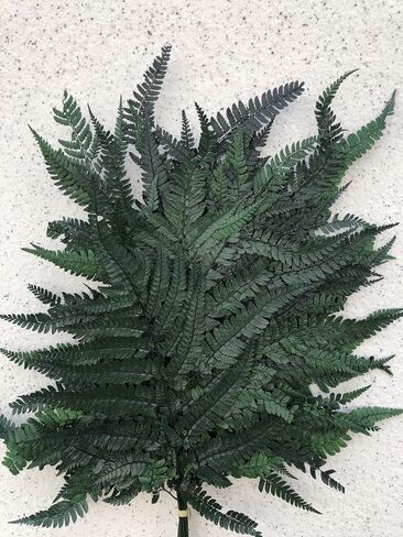 Preserved Real Ferns Dried Fern Tips Stems Wedding Garlands Home Decorations Bouquets Flower Arrangements Wall Hanging Dried (White)(10 Stems) in Kuwait