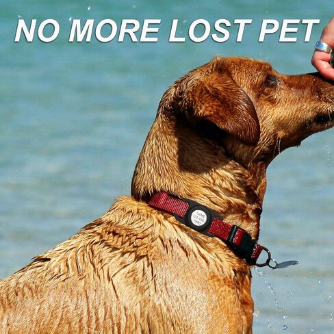 IP68 Waterproof AirTag Dog Collar Holder for Apple Airtag, Dog Tag Personalized for Pet ID, Visible Airtag Holder for Air Tag Pet Collar Holder Within 1 Inch in Saudi Arabia