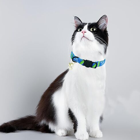 Elegant little tail 2 Pack Cat Collar- Christmas Cat Collars Breakaway with Bell Pendant Wedding Kitten Boy Girl Safety Adjustable 7-12 Inch Collar for Small Cats Puppy in Kuwait
